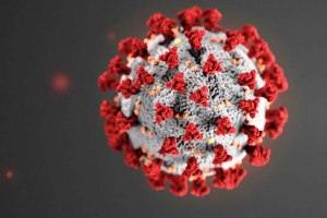 Emergenza epidemiologica da COVID-10 Unita’ di crisi Regionale ex Decreto P_G_R_C_ n 51 del 20/03/2020