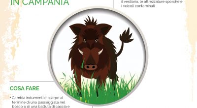 Peste Suina Africana (PSA) aiutaci per evitare la sua diffusione in Campania